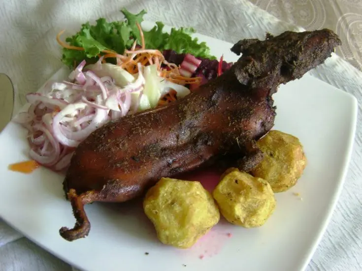 Peruvian Guinea Pig (Cuy) Delicacy Recipe 1