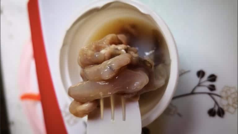 Tamilok woodworm