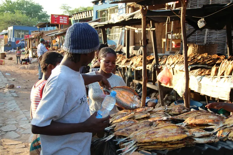 Botswana food market