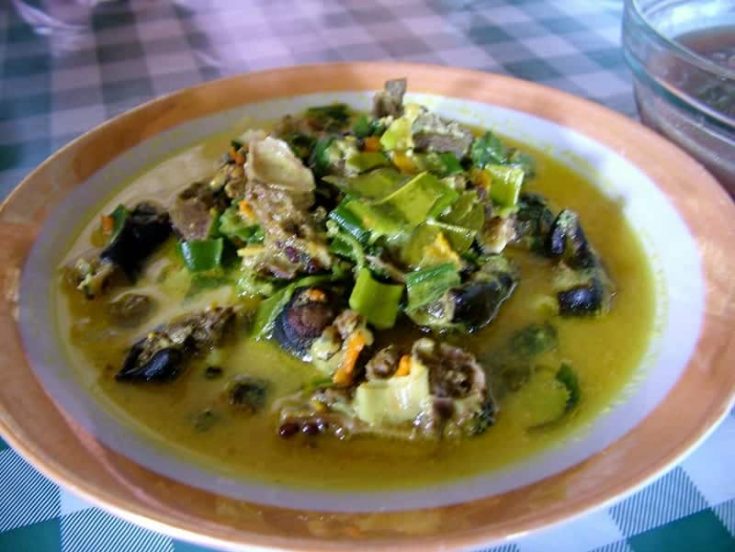 Fruit Bat Soup: The Traditional Palau Delicacy 1