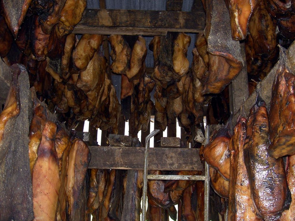 Hakarl shark being stored