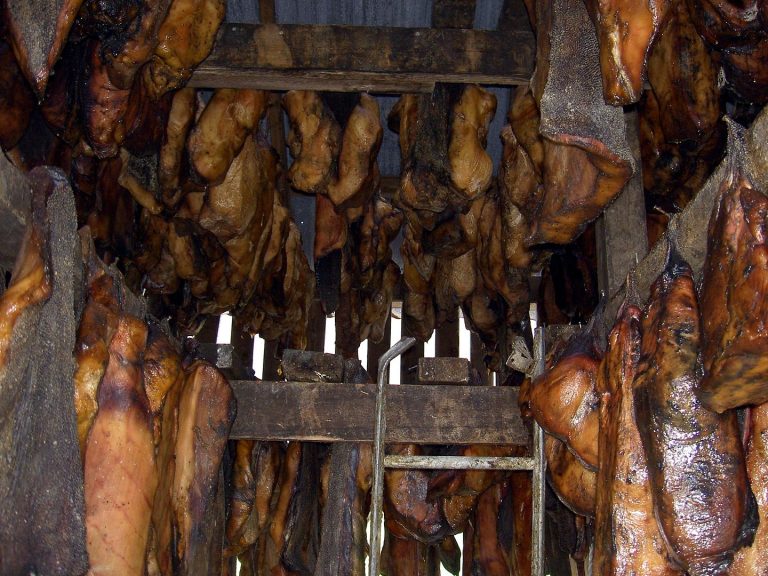 Hakarl shark being stored