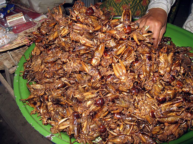 Deep fried grasshoppers