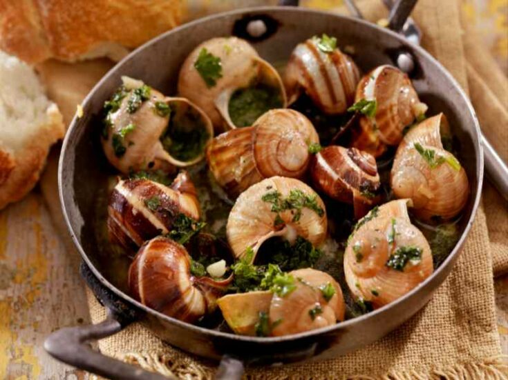 Escargot (Snails) Recipe: A French Delicacy 1