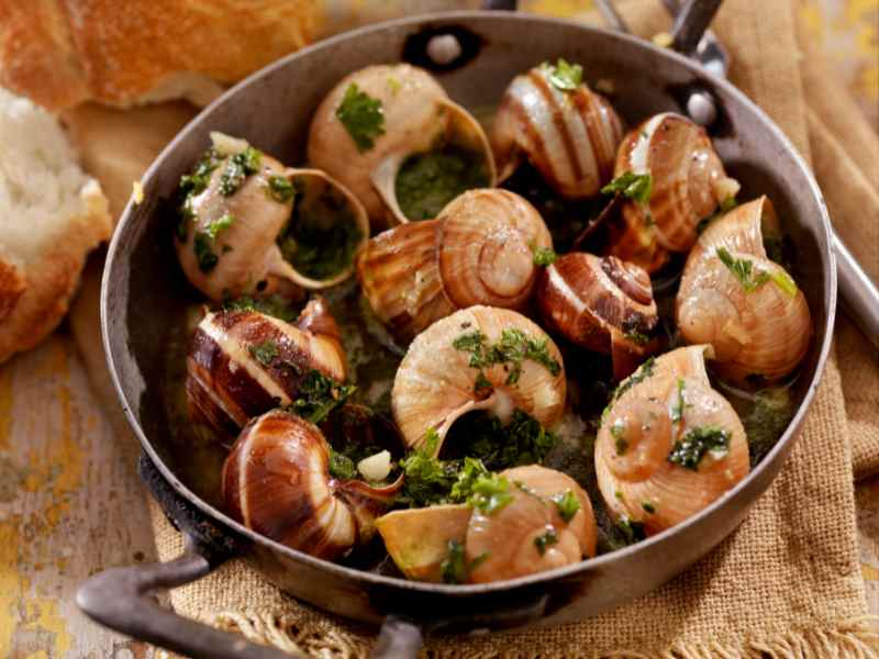 Escargot (Snails) Recipe: A French Delicacy