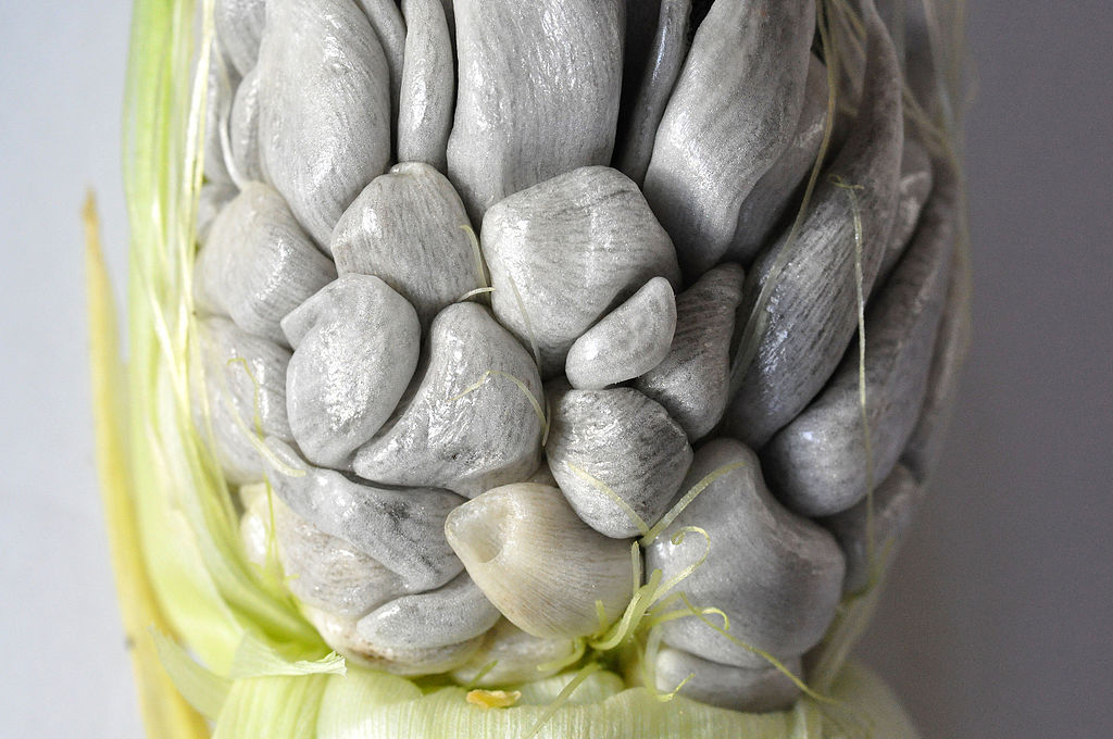 Huitlacoche (Corn Smut) & How To Eat It