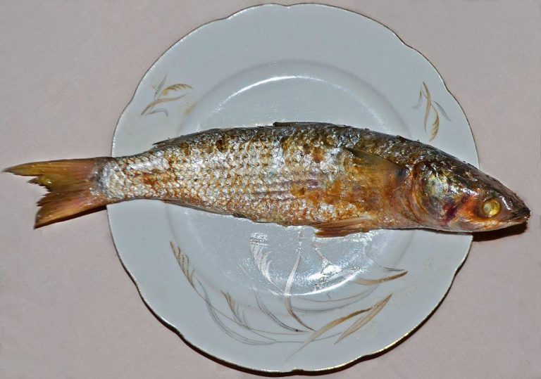 Fesikh on a plate