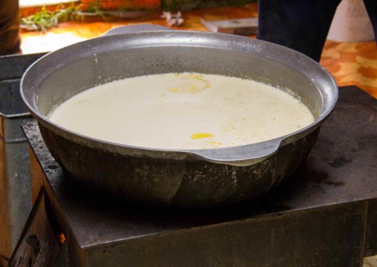 Mongolian Airag or Kumis Fermented Mare's Milk
