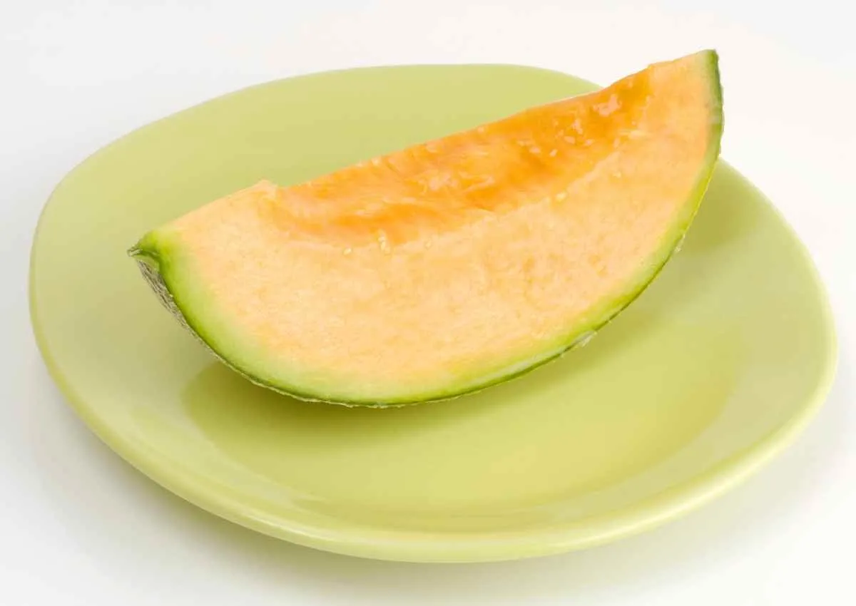 Yubari King melon