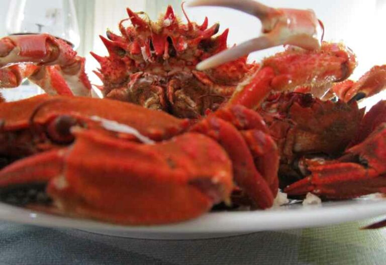 Centolla Chilena