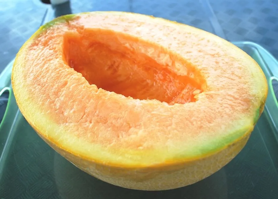 Half cut Yubari King melon