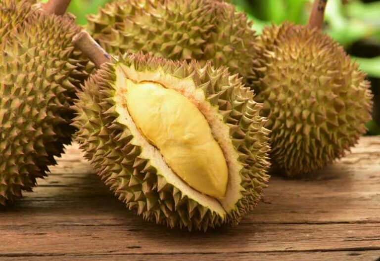 Durian Fruit