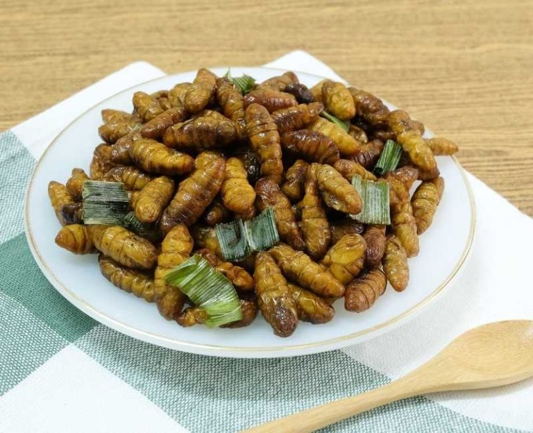 Vietnamese Coconut Worms