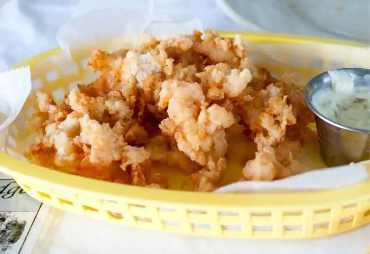 Bahamian Cracked Conch Recipe 1