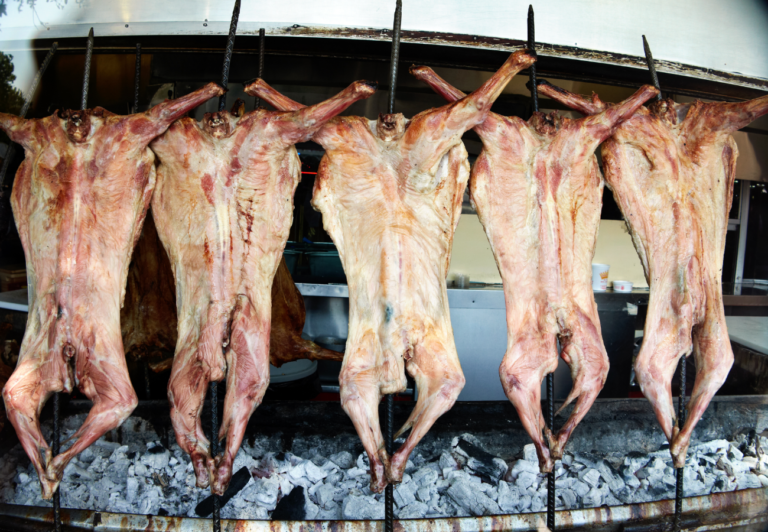 Cabrito