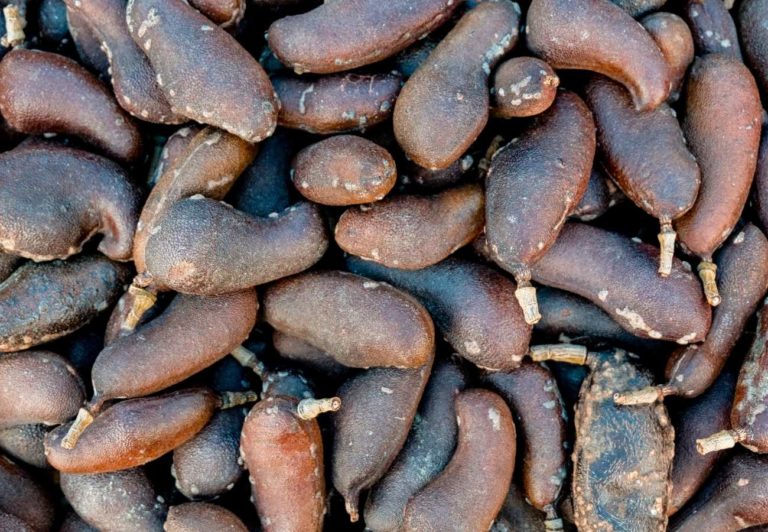 Stinking toe fruit