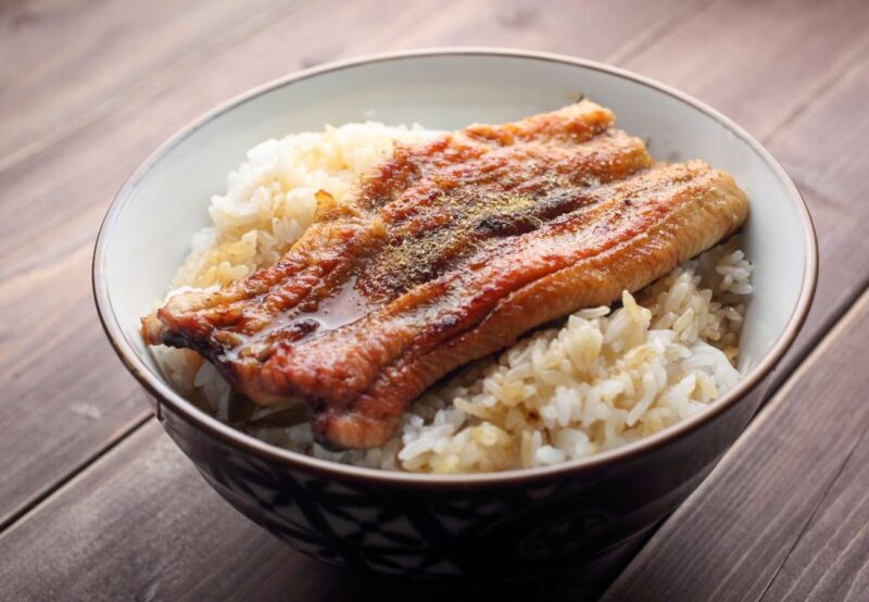 Japanese Unadon