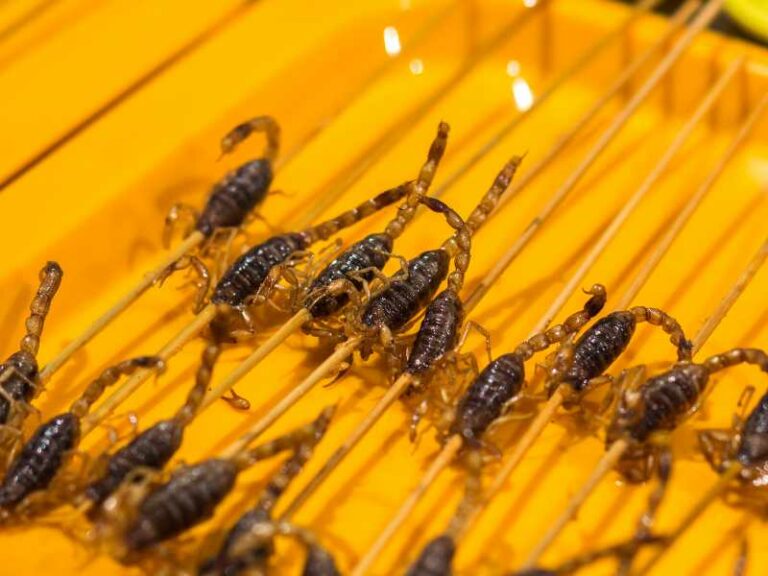 deep-fried scorpions