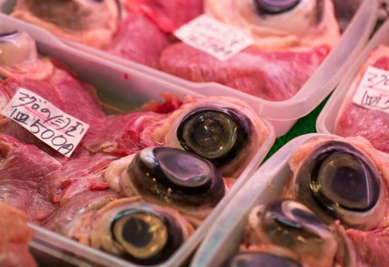 Tuna eyeballs
