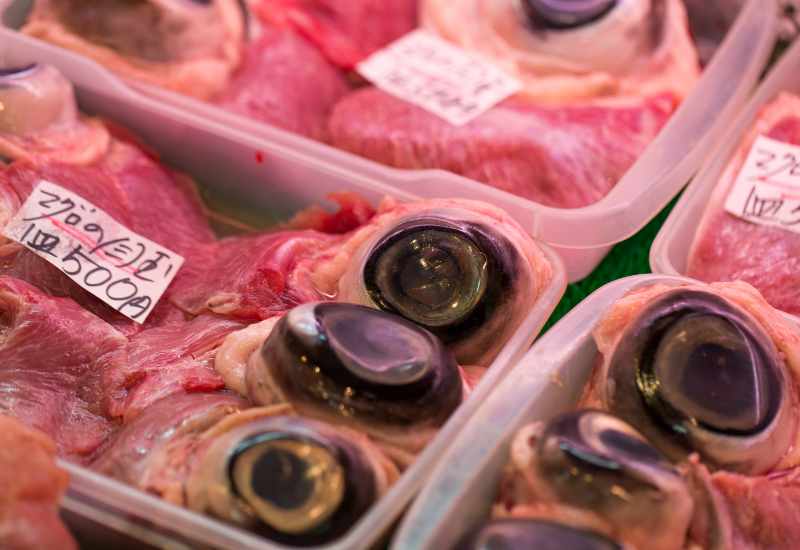 Tuna Eyeballs Recipe