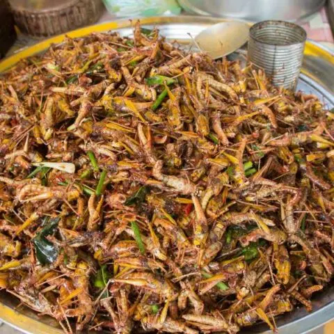 Chapulines (Deep Fried Grasshoppers)