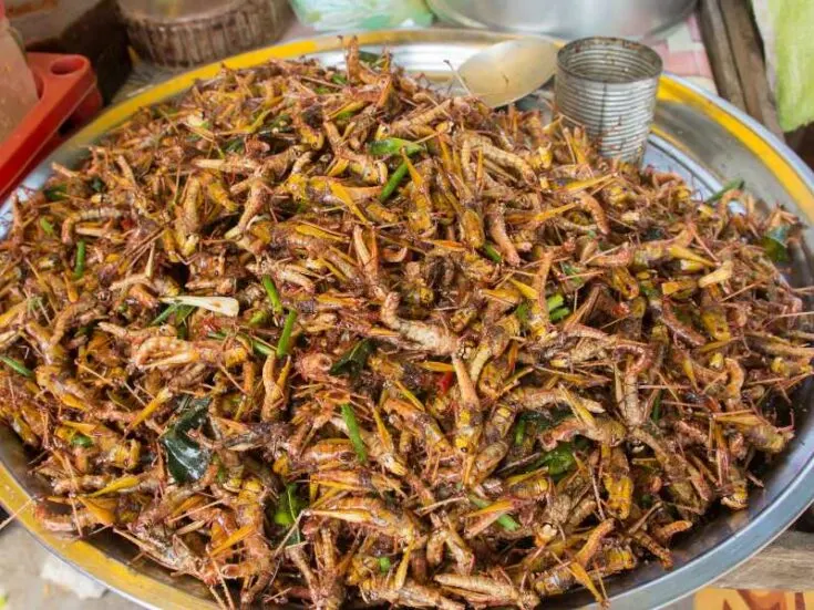 Chapulines (Deep Fried Grasshoppers)