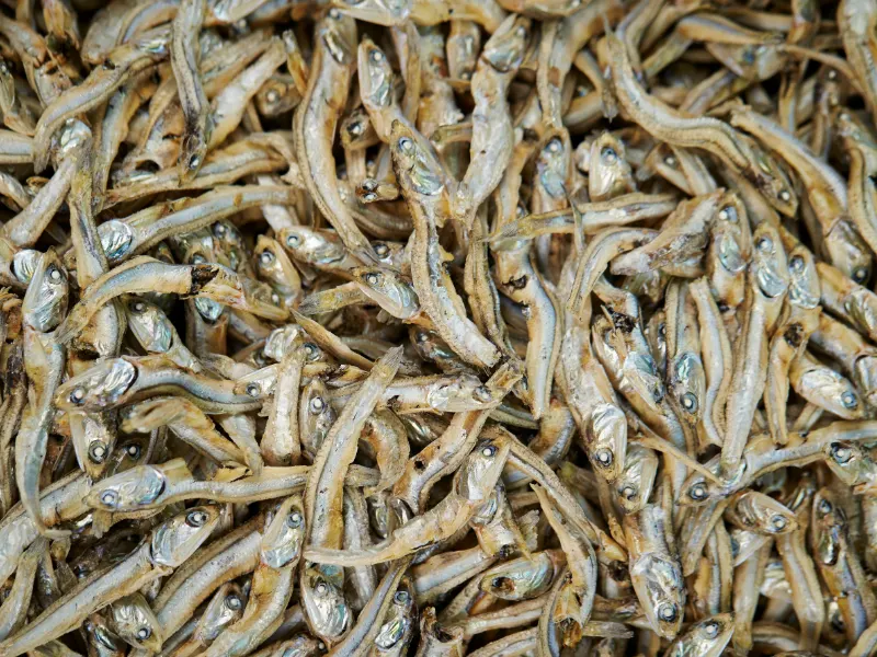 Makayabu (Dried Fish)