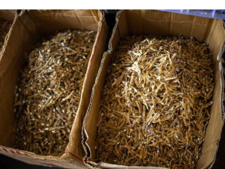 Boxes of dilis at market.