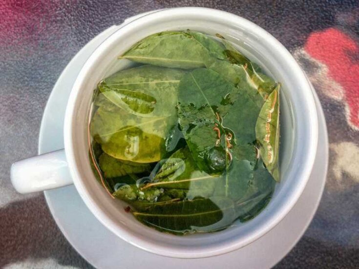 Peruvian Mate de Coca Recipe 1