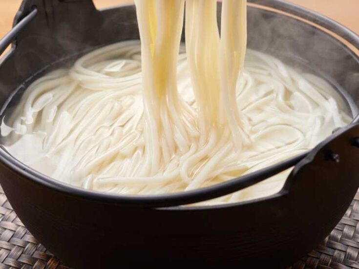Japanese Kamaage Udon Recipe 2